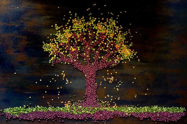 Peut-on réaliser un cake aux légumes sans œufs ni produits laitiers?