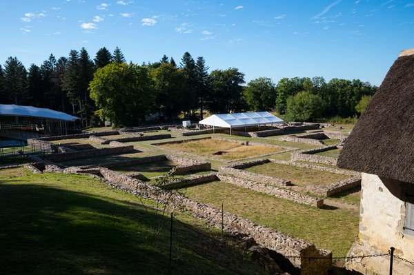 Peut-on réaliser une tarte aux fruits sans pâte pour un dessert minceur?